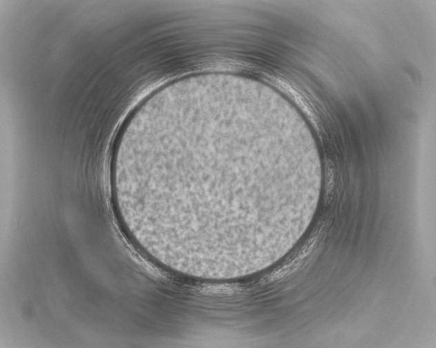 X0000115060843200912071150