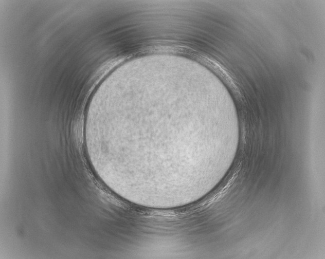 X0000115060844200912071150