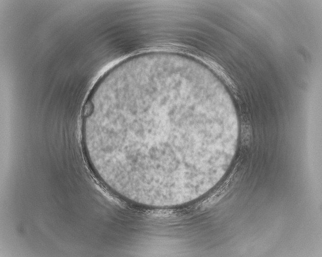 X0000115060846200912071150