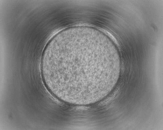 X0000115060847200912071150