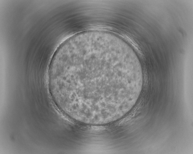 X0000115060848200912071150