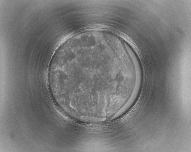 X0000115060850200912071150