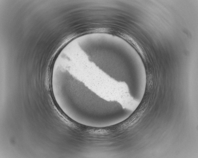 X0000115060851200912071150