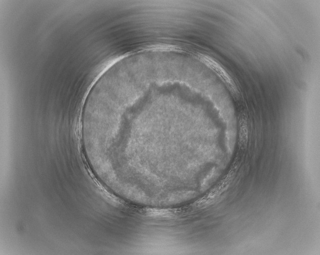 X0000115060852200912071150