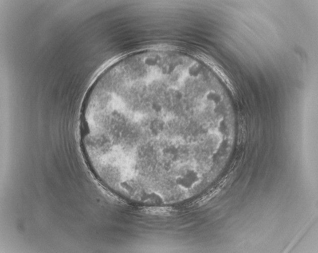 X0000115060853200912071150