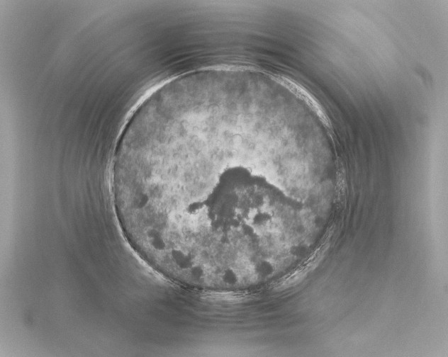 X0000115060855200912071150