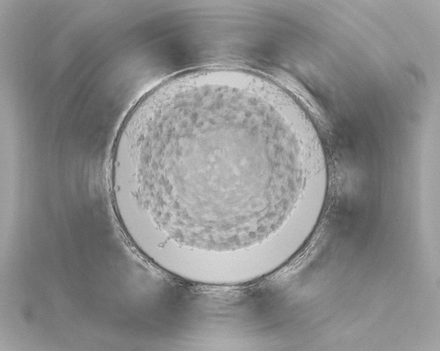 X0000115060856200912071150