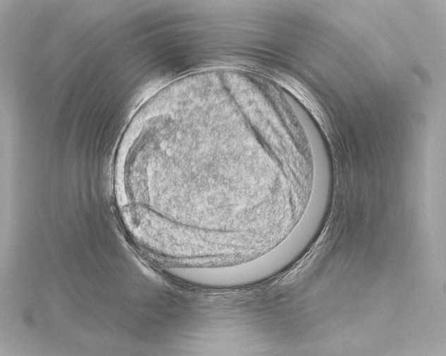 X0000115060858200912071150