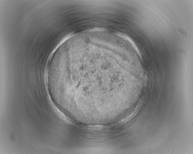 X0000115060859200912071150