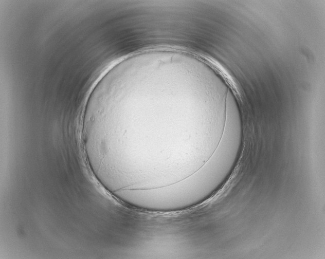 X0000115060860200912071150