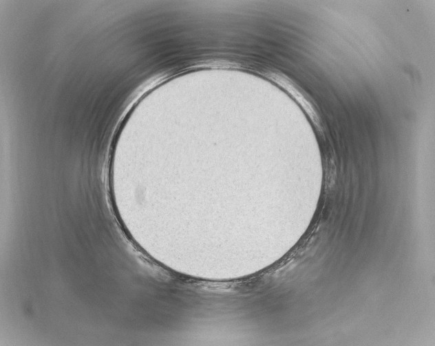 X0000115060861200912071150