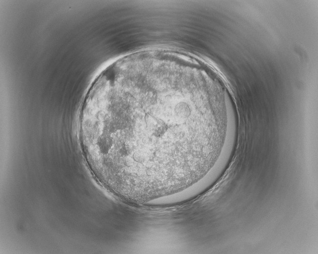 X0000115060862200912071150