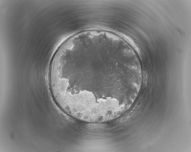 X0000115060863200912071150