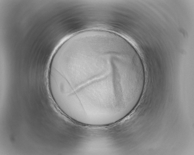 X0000115060864200912071150