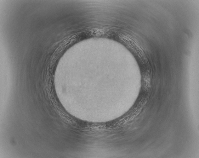 X0000115060865200912071149