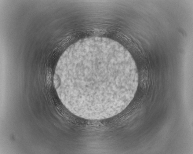 X0000115060866200912071149