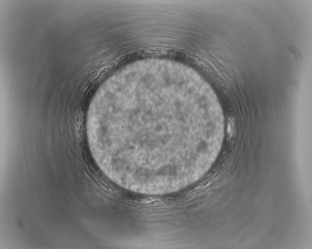 X0000115060867200912071149