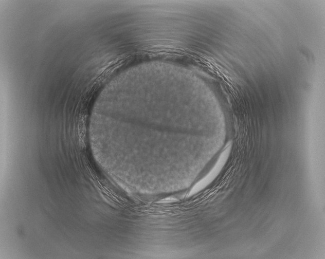 X0000115060868200912071149