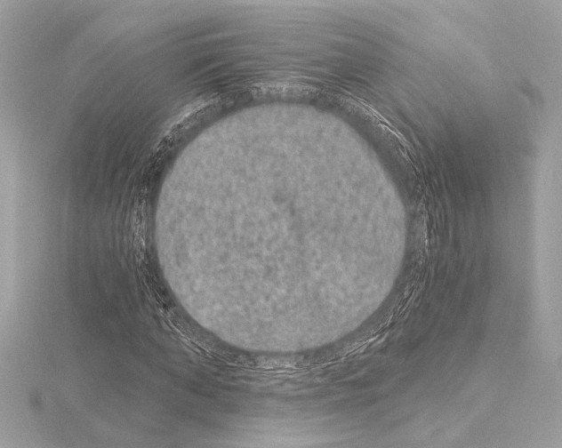 X0000115060870200912071149