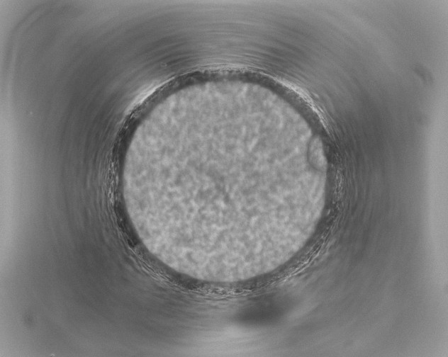 X0000115060871200912071149