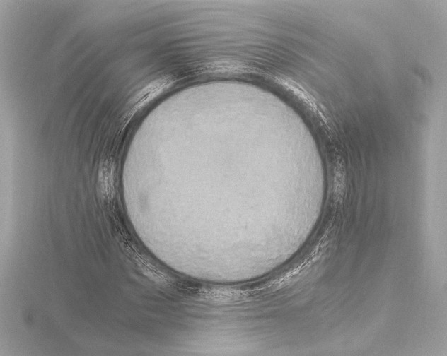 X0000115060873200912071149