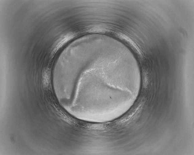 X0000115060874200912071149