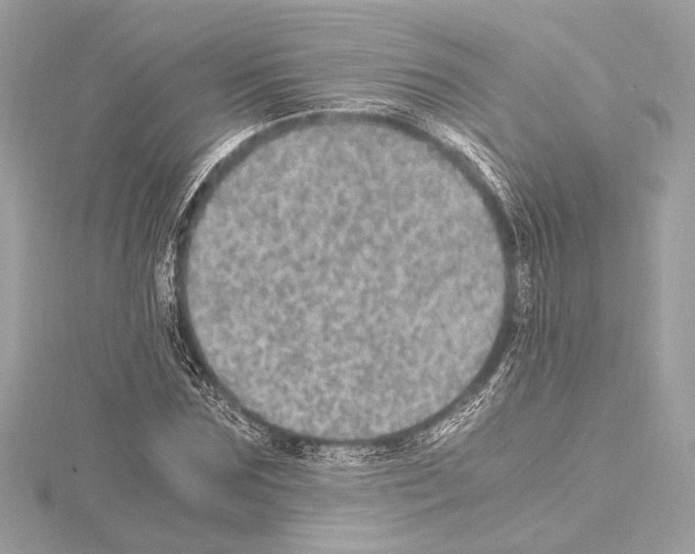 X0000115060875200912071149