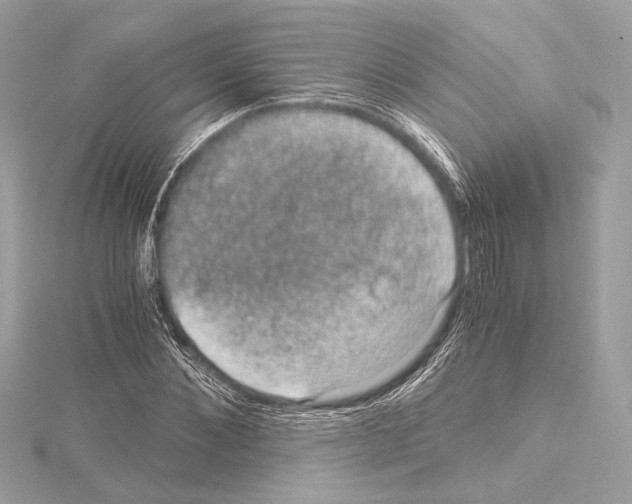 X0000115060876200912071149