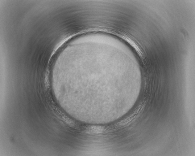 X0000115060878200912071149