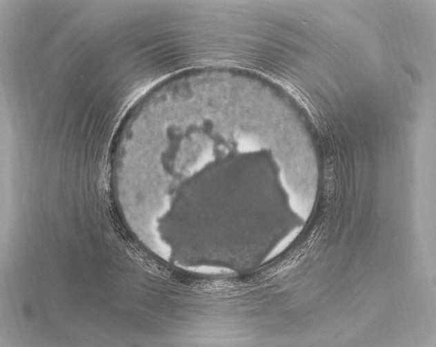 X0000115060879200912071149