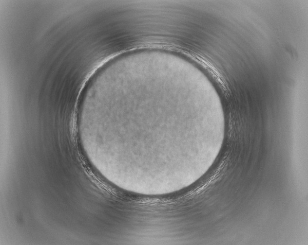 X0000115060880200912071149