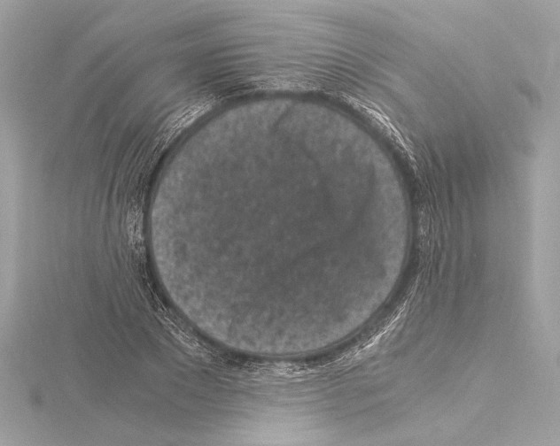 X0000115060881200912071149