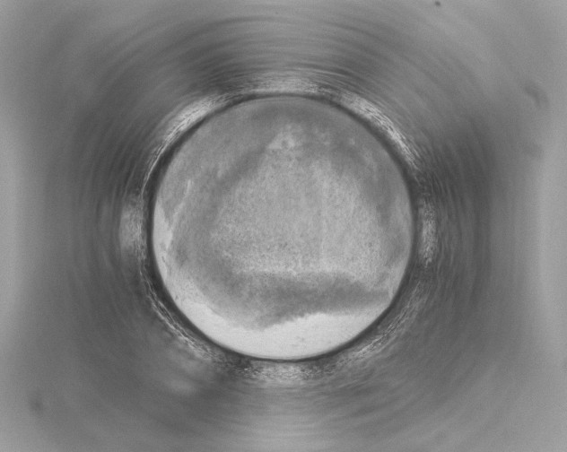 X0000115060882200912071149