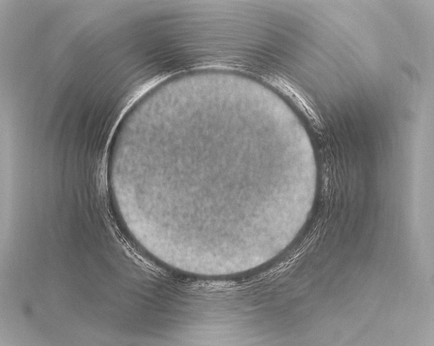 X0000115060884200912071149