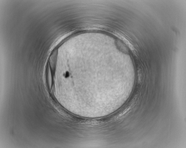 X0000115060885200912071149