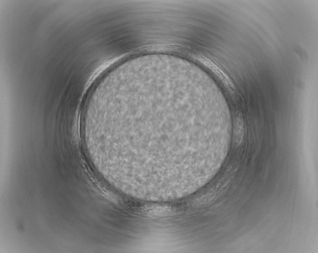 X0000115060886200912071149