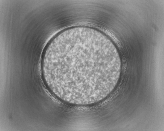 X0000115060888200912071149