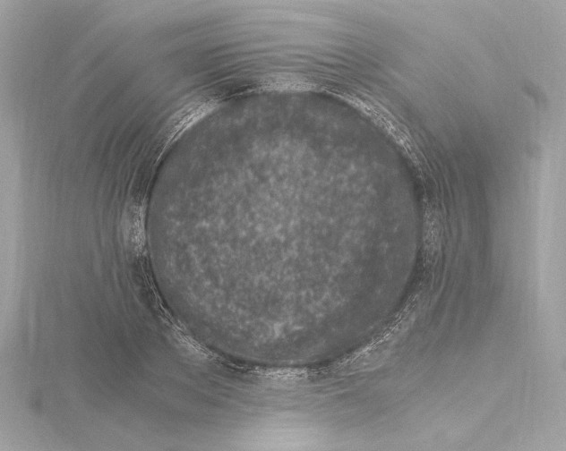 X0000115060889200912071149