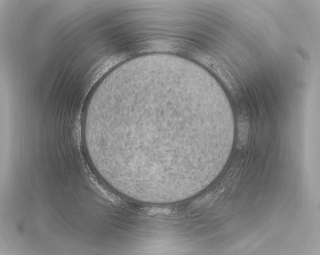 X0000115060890200912071149