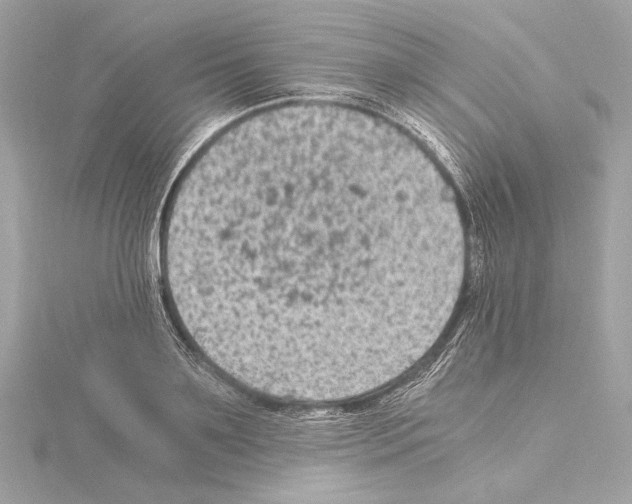 X0000115060891200912071149