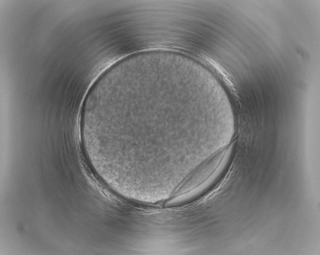 X0000115060892200912071149