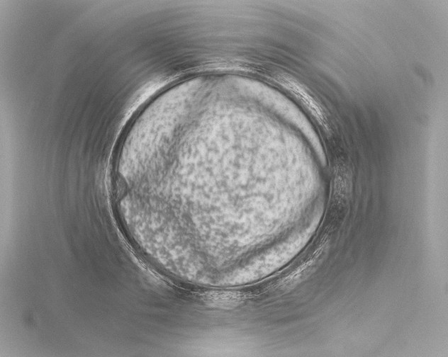 X0000115060893200912071149