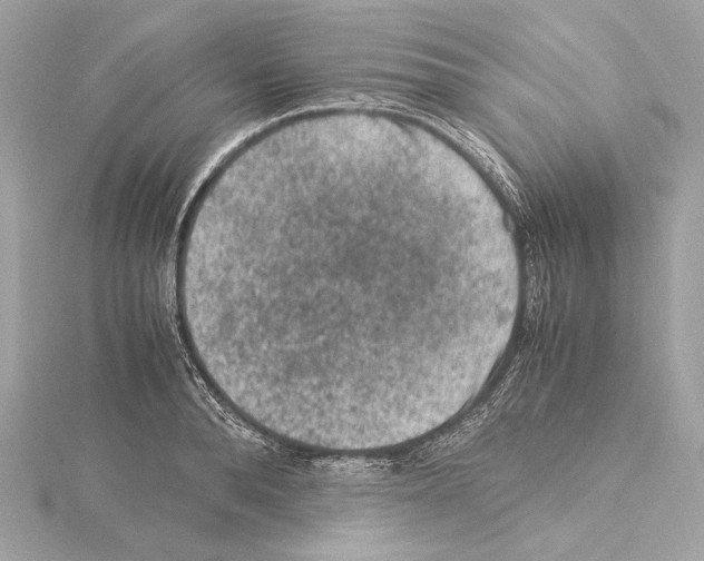 X0000115060896200912071149