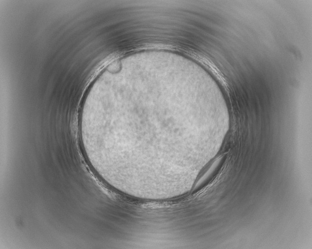 X0000115060898200912071149