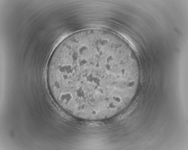 X0000115060899200912071149