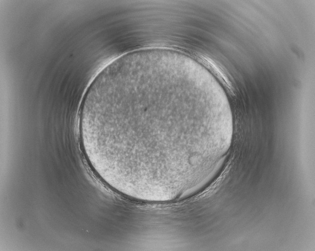 X0000115060900200912071149