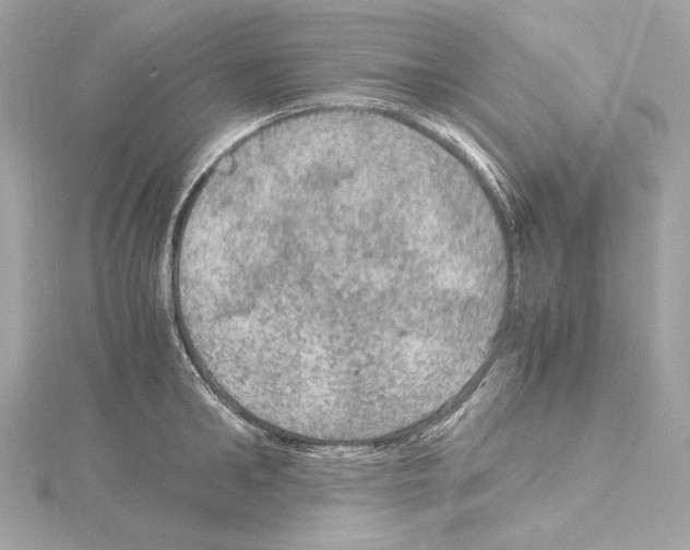 X0000115060902200912071149