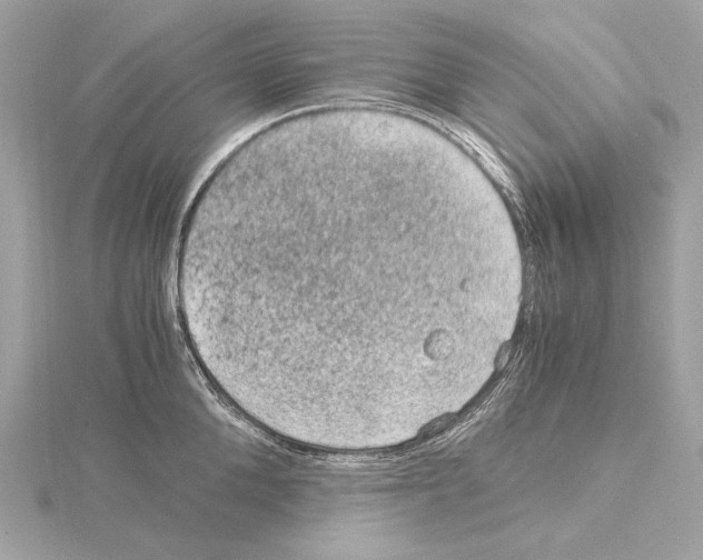 X0000115060904200912071149