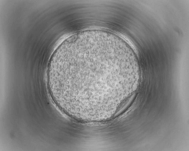 X0000115060906200912071149