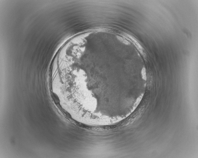 X0000115060907200912071149